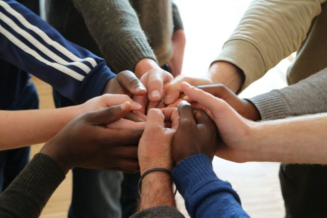 Programm „Young Farmers Exchange“ startet wieder