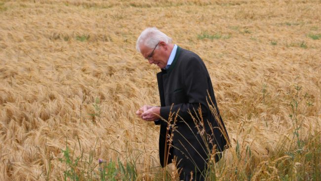 Die Ackerbauern blicken mit Sorge aufs Feld