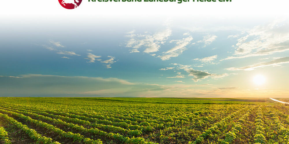 landvolk-niedersachsen-lueneburger-heide-image-template