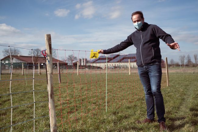 Wie ist die Zukunft von Wolf und Weidetierhaltung?