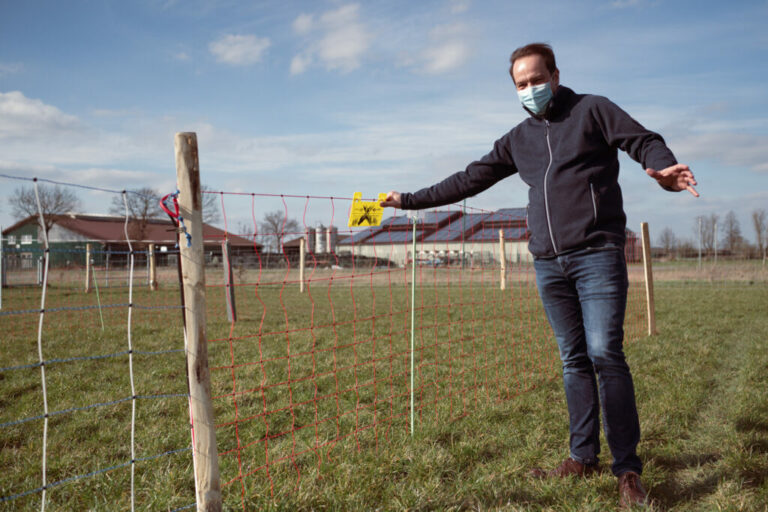 Wie ist die Zukunft von Wolf und Weidetierhaltung?