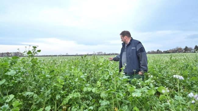 Keine Rolle rückwärts bei den „roten Gebieten“