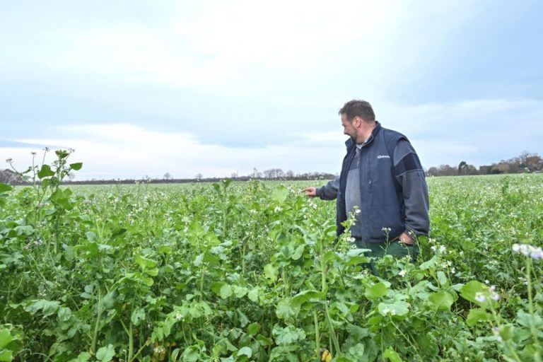 Keine Rolle rückwärts bei den „roten Gebieten“
