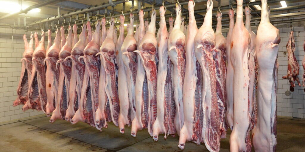 Corona ist „Gift“ im übervollen Schweinemarkt