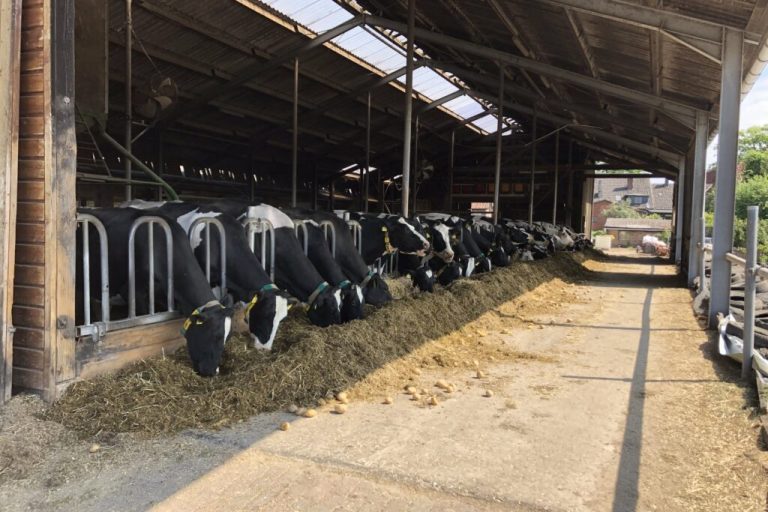 Kosten sparen durch Umstellung der Lichtanlagen