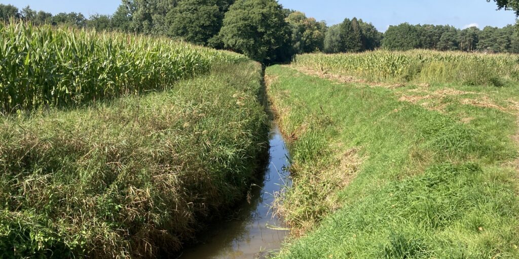 Gewässerschutz der Landwirtschaft anerkennen