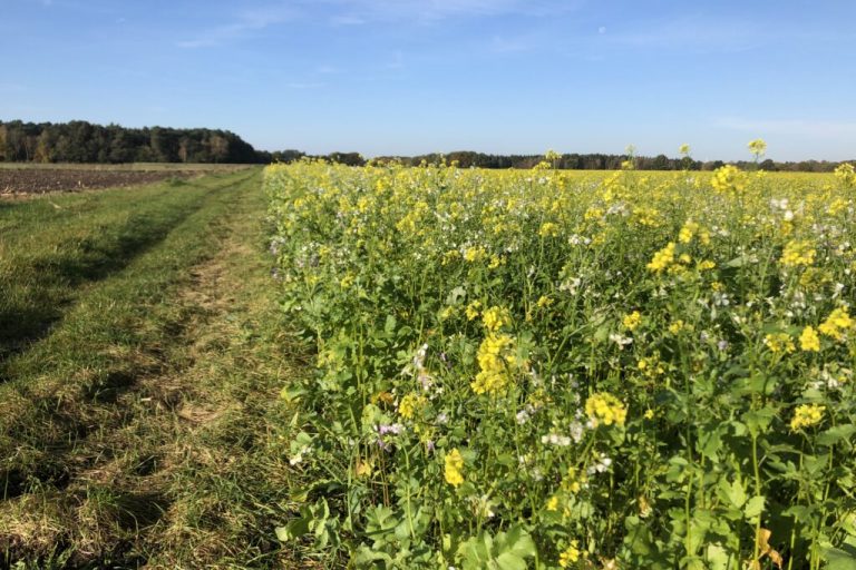 Auch im Winter ist auf dem Acker was los