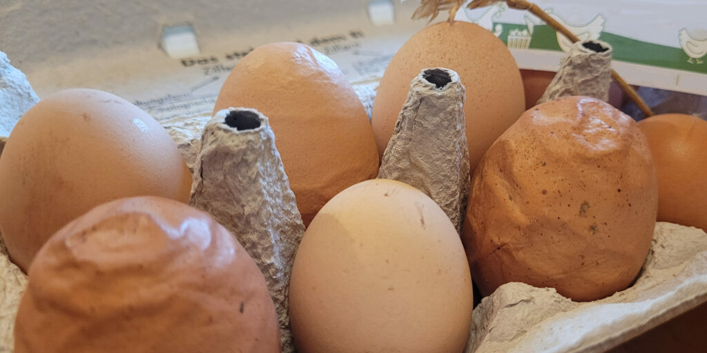 Auch Lebensmittel mit Makel sind lecker und gesund