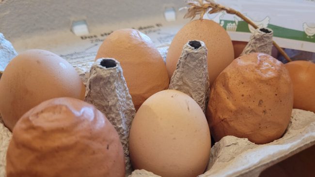 Auch Lebensmittel mit Makel sind lecker und gesund