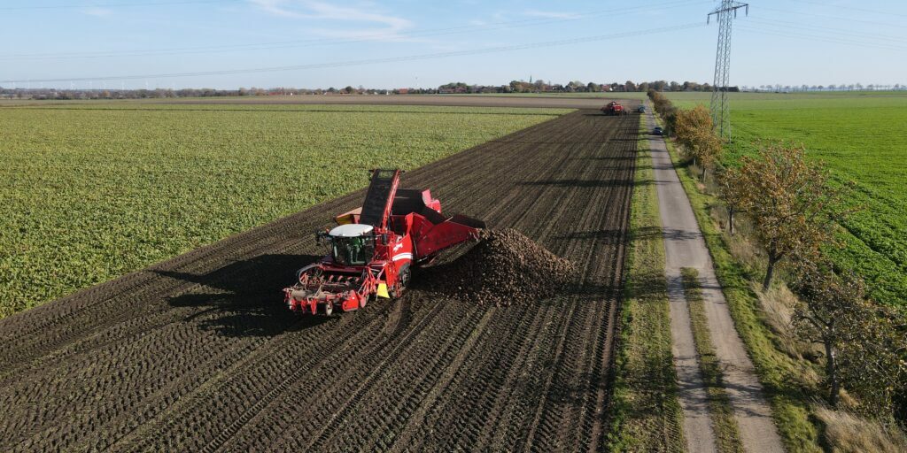 Zweitbeste Zuckerrübenernte in Norddeutschland