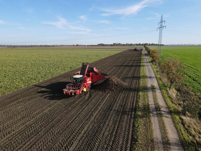 Zweitbeste Zuckerrübenernte in Norddeutschland