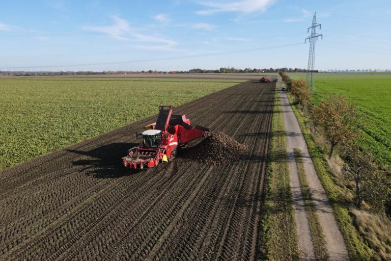 Zweitbeste Zuckerrübenernte in Norddeutschland