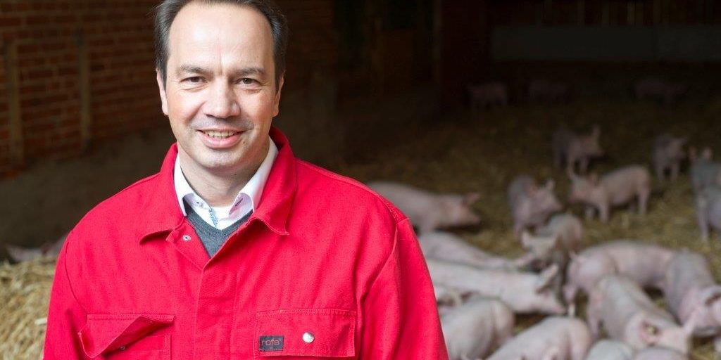 Özdemir gefragt: Schweinebauern läuft die Zeit davon