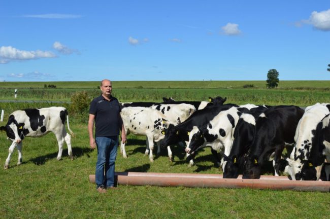 Erzeugerpreise bei Milch sind weiter im Aufwind
