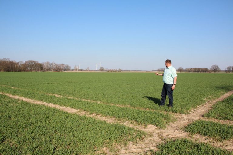 Nitrat: Landwirte werden weiterhin kollektiv bestraft