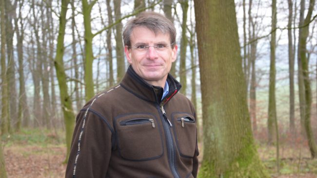 Windenergie aus dem Wald ist unverzichtbar