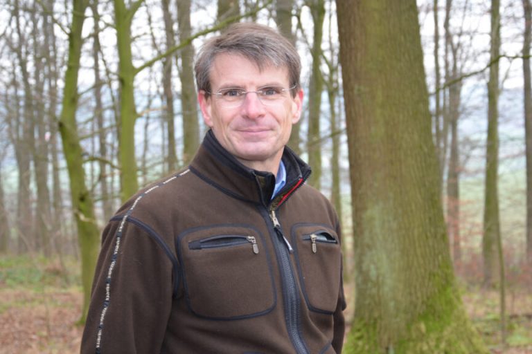 Windenergie aus dem Wald ist unverzichtbar