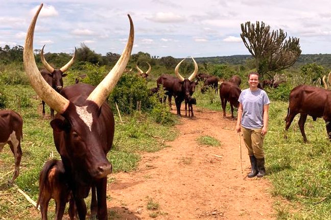 Krass grünes Praktikum im Ausland möglich