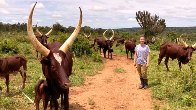 Krass grünes Praktikum im Ausland möglich