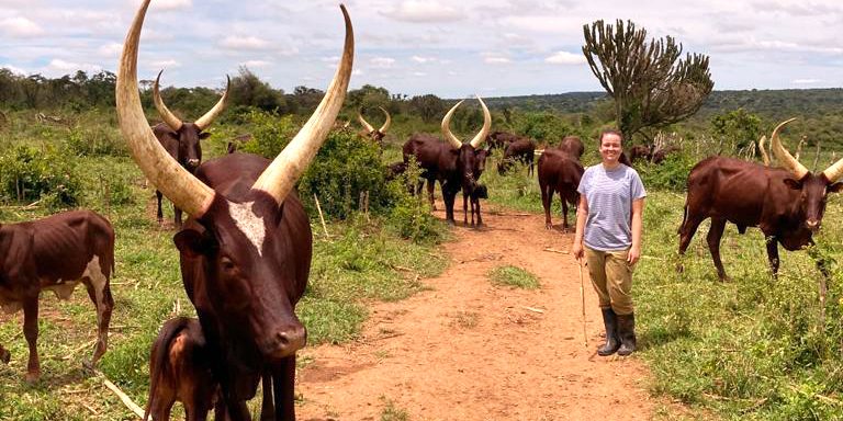 Krass grünes Praktikum im Ausland möglich