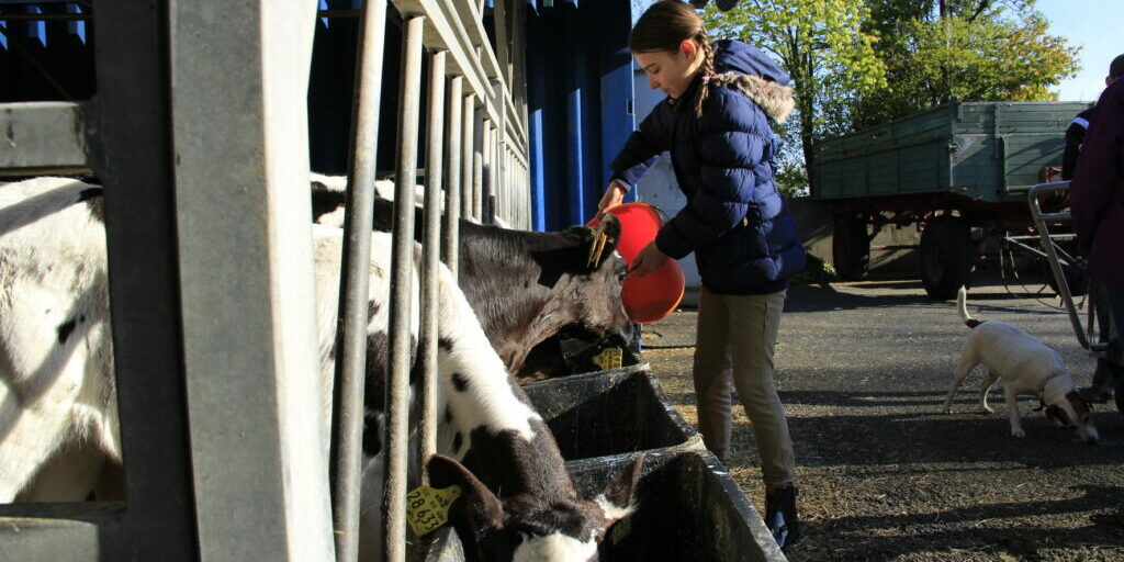 Zukunftstag für 28. April 2022 in Präsenz geplant