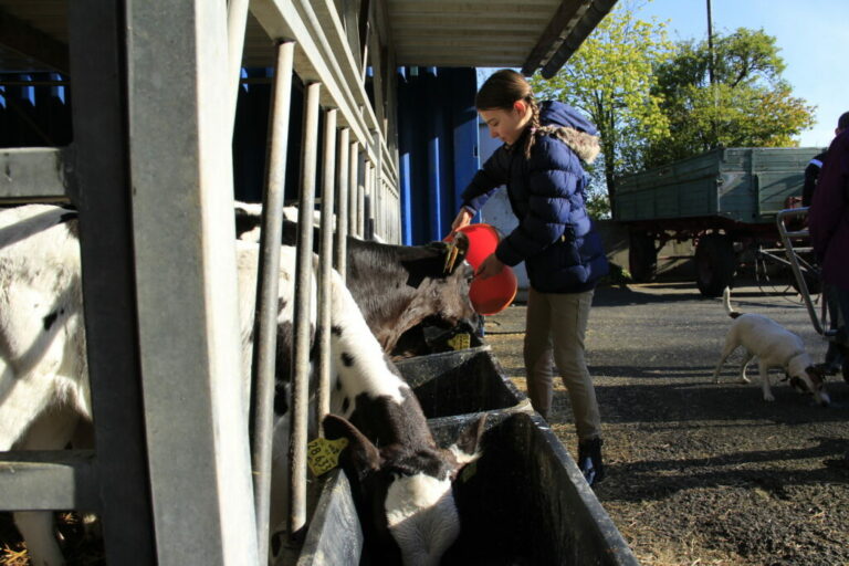 Zukunftstag für 28. April 2022 in Präsenz geplant