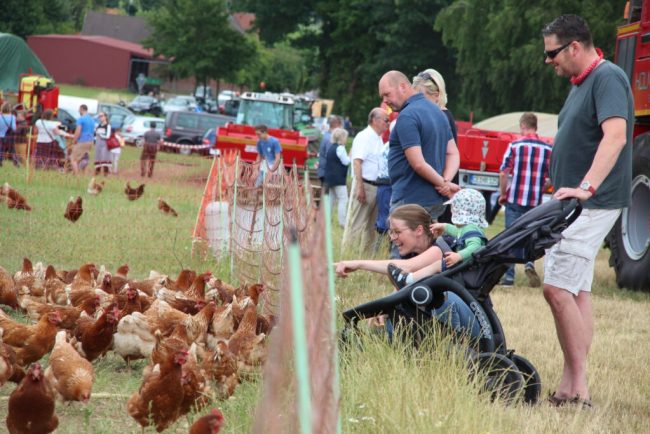 Höfe zeigen, wie moderne Landwirtschaft funktioniert