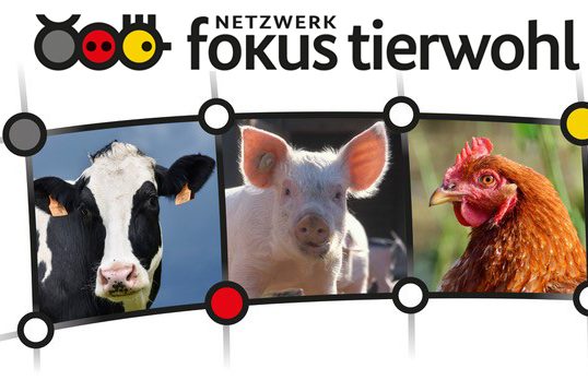 Netzwerk Fokus Tierwohl sorgt für Wissen in der Praxis