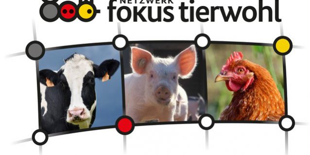 Netzwerk Fokus Tierwohl sorgt für Wissen in der Praxis