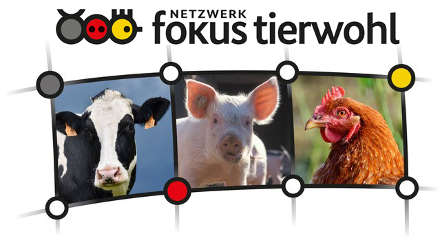 Netzwerk Fokus Tierwohl sorgt für Wissen in der Praxis