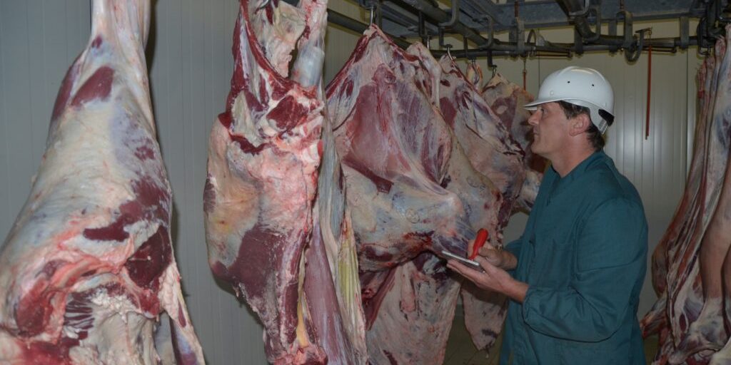 Schlachtpreise für Rindfleisch steigen weiter