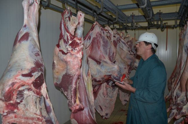 Schlachtpreise für Rindfleisch steigen weiter