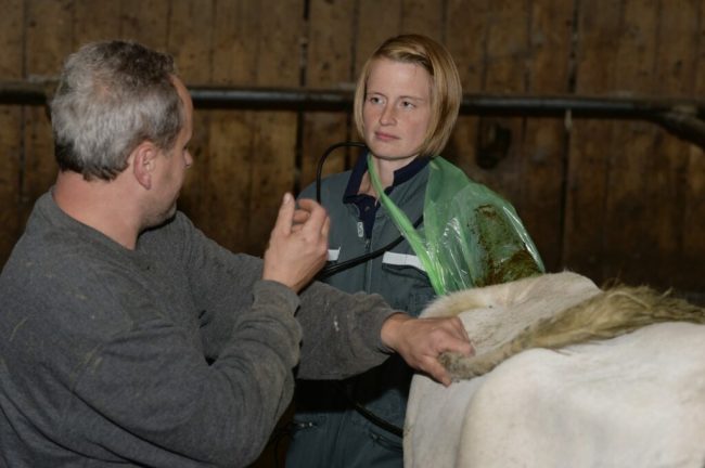 Fokus auf „Antibiotika-Vielverbraucher“ richten