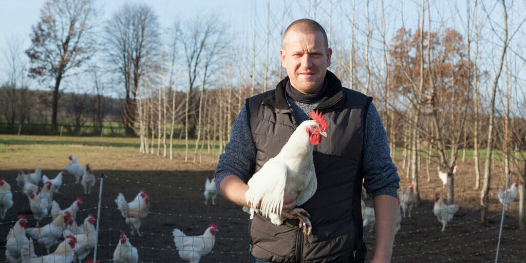 Landwirtschaft auf Öko umstellen? Ja, aber!