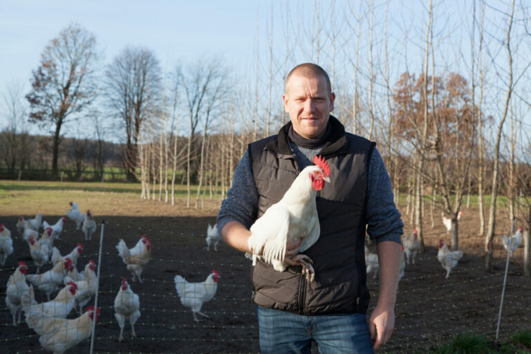 Landwirtschaft auf Öko umstellen? Ja, aber!