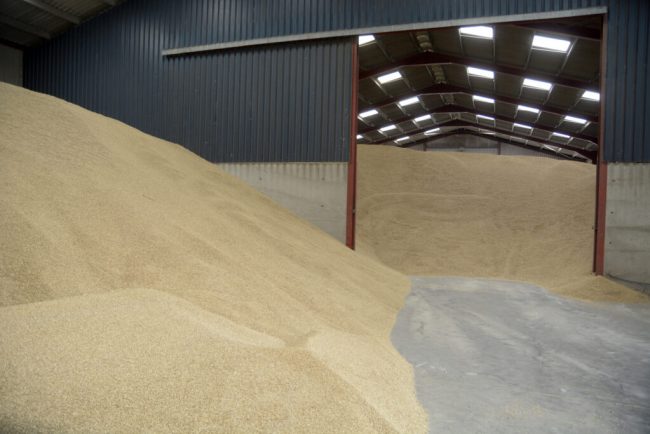 Es ist Halbzeit im Getreidelager