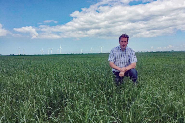 Auf dem Grünland steht eine Frühjahrskur an