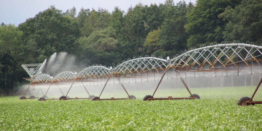 Benötigte Wassermenge für Feldberegnung wird steigen