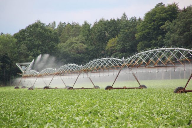 Benötigte Wassermenge für Feldberegnung wird steigen