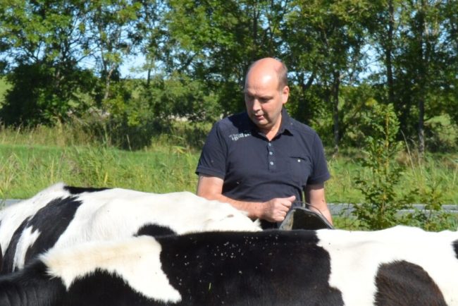 Tannen: Hoher Selbstversorgungsgrad ist ein Privileg