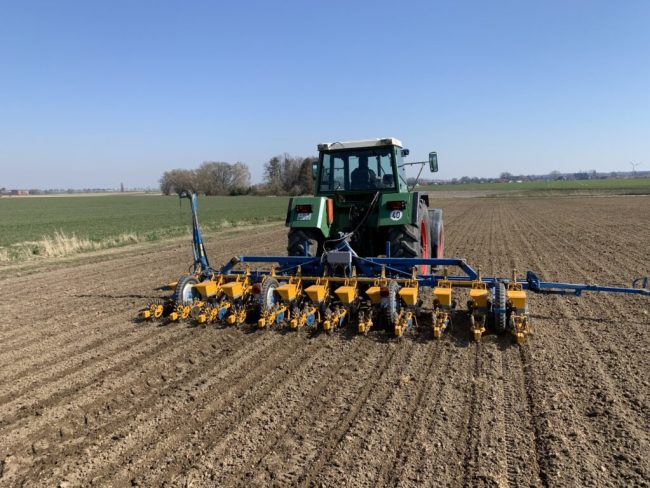 Zucker aus heimischem Anbau ist nachhaltig