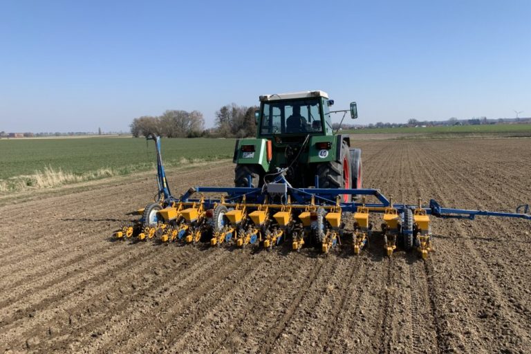 Zucker aus heimischem Anbau ist nachhaltig