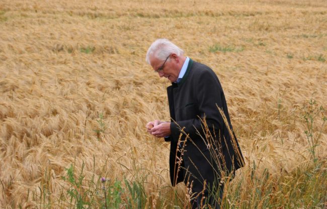 Getreide gibt es nur mit Dünger und Saatgut