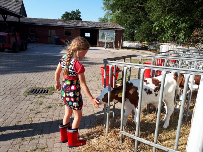 An Feiertagen treffen sich Familien auf dem Bauernhof
