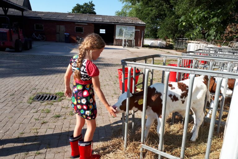 An Feiertagen treffen sich Familien auf dem Bauernhof