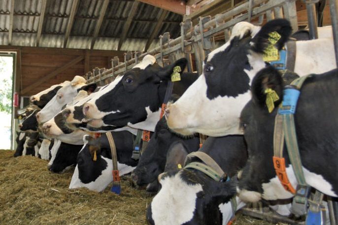 Tag des offenen Hofes