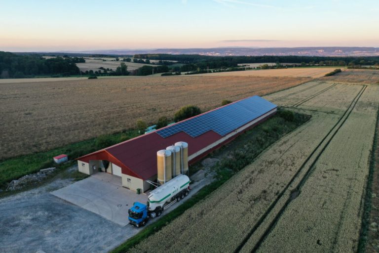 Wie geht es weiter in der Schweinehaltung?