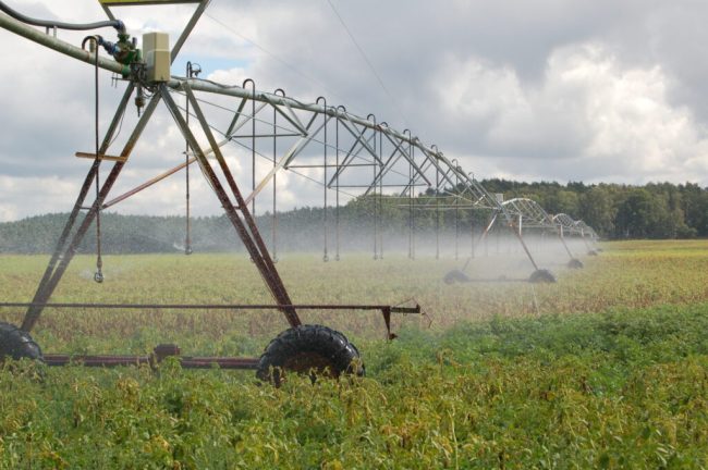 Neue Technik in der Feldberegnung effizient einsetzen