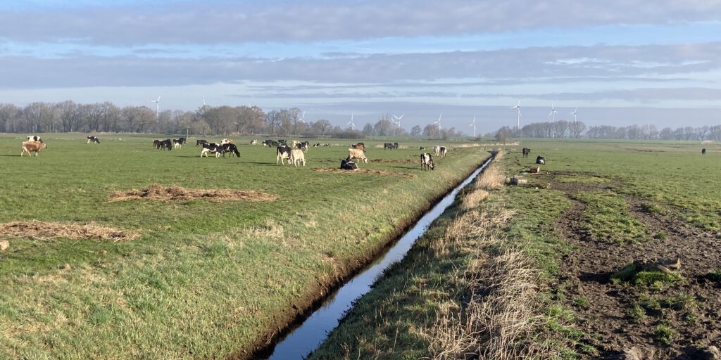 Mittel aus Agrarumweltmaßnahmen nutzen