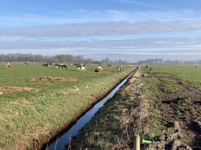 Mittel aus Agrarumweltmaßnahmen nutzen